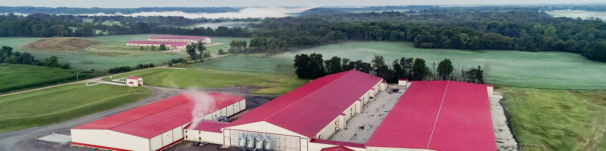 Image of farm fields and barns with three red roofs