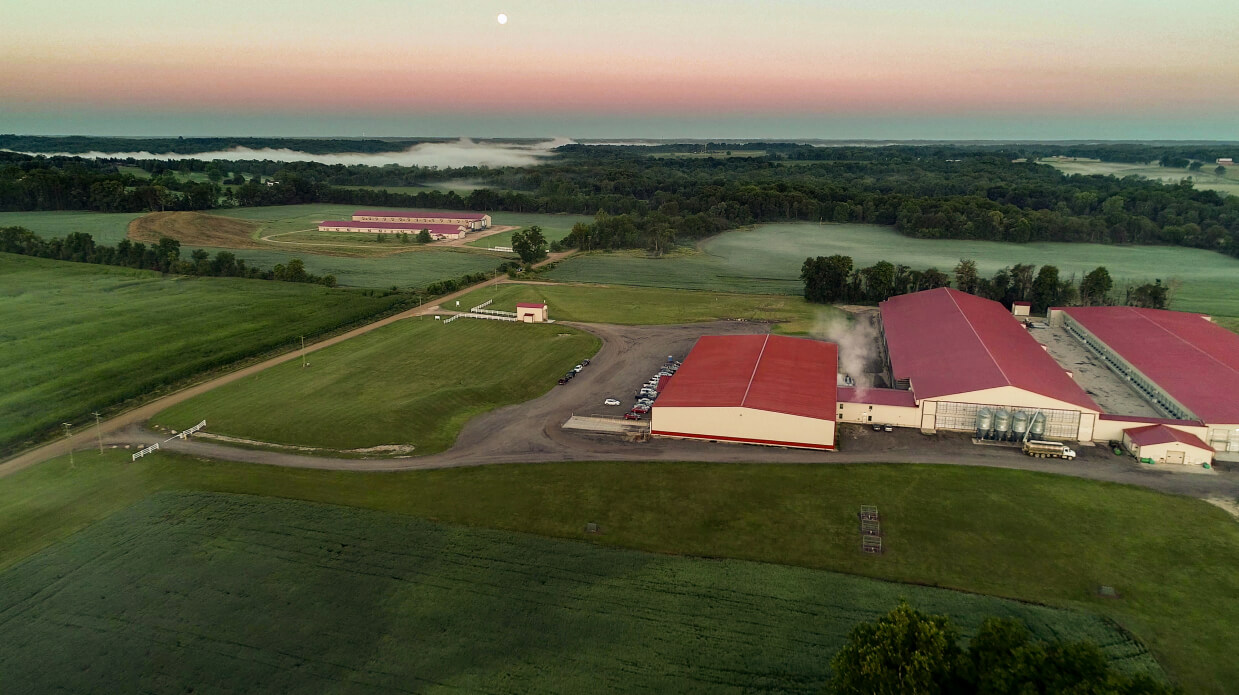 Image of farm fields and barns with three red roofs.