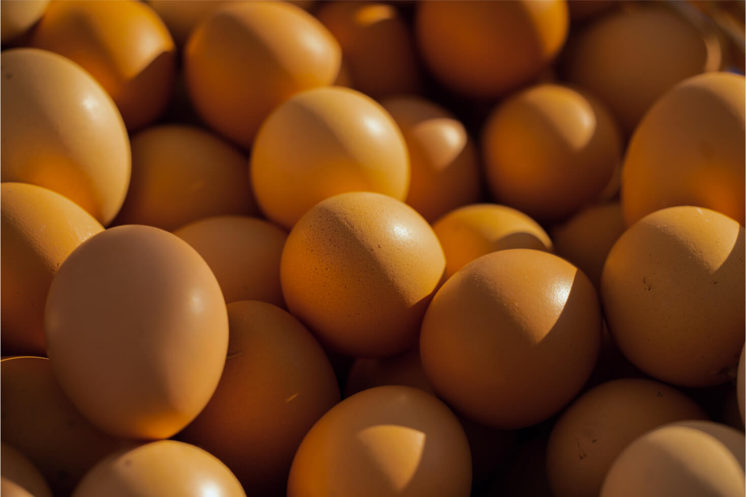 Find a UEP certified cage-free producer button over a background of brown eggs.